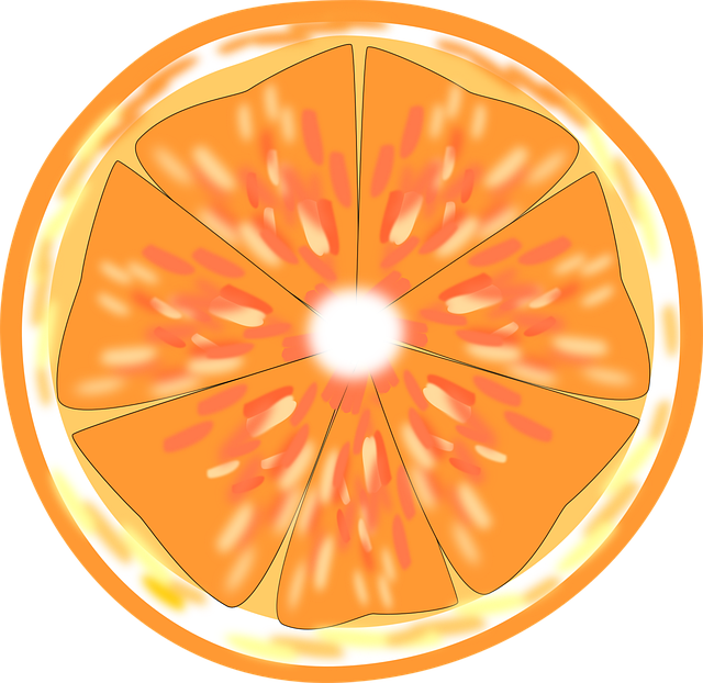 Free download Orange Slice Fruit -  free photo or picture to be edited with GIMP online image editor