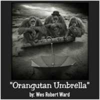 Free download Orangutan Umbrella free photo or picture to be edited with GIMP online image editor