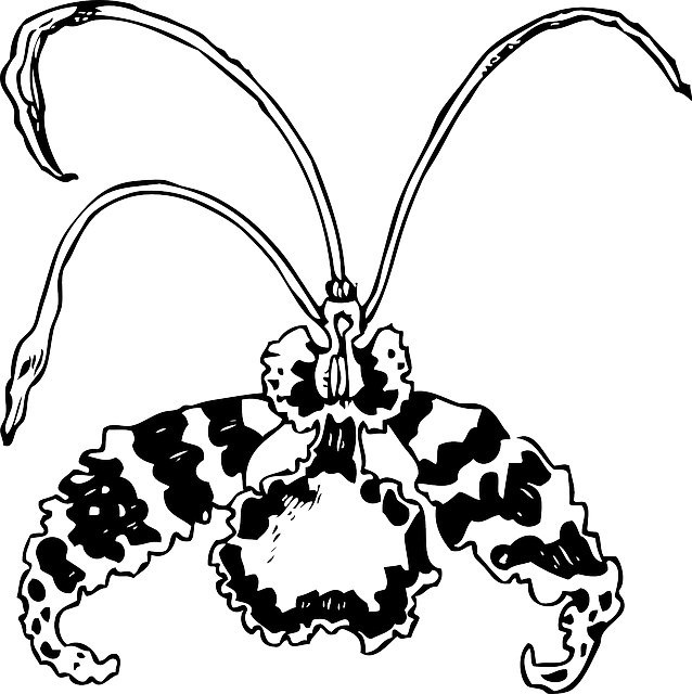 Free download Orchid Flower Blossom - Free vector graphic on Pixabay free illustration to be edited with GIMP free online image editor