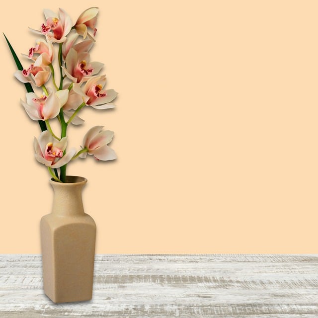 Free download orchids flowers bloom blossom free picture to be edited with GIMP free online image editor