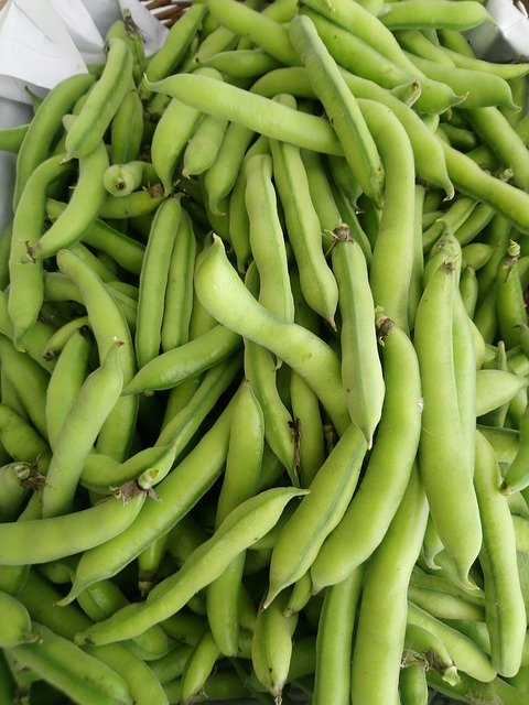 Free download Organic Pods Food -  free photo or picture to be edited with GIMP online image editor