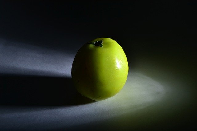 ดาวน์โหลดฟรี Organic Ripe Orchard - ภาพถ่ายหรือรูปภาพที่จะแก้ไขด้วยโปรแกรมแก้ไขรูปภาพออนไลน์ GIMP ได้ฟรี