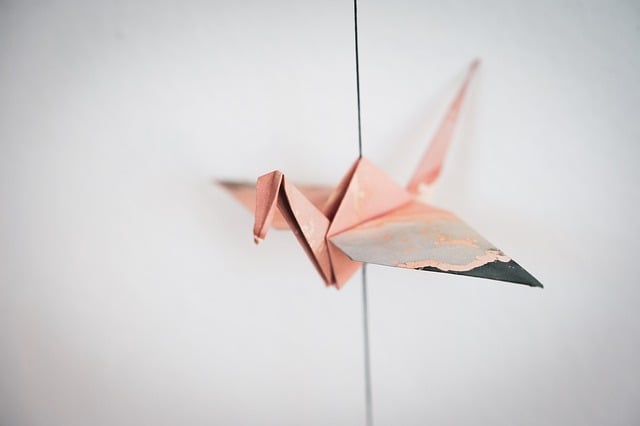 Free download origami paper crane folds success free picture to be edited with GIMP free online image editor
