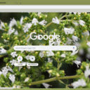 Origanum  screen for extension Chrome web store in OffiDocs Chromium