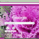 Ornamental Kale  screen for extension Chrome web store in OffiDocs Chromium