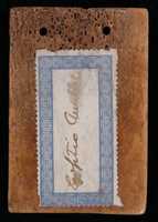 Free download Ornament or Carding Comb free photo or picture to be edited with GIMP online image editor