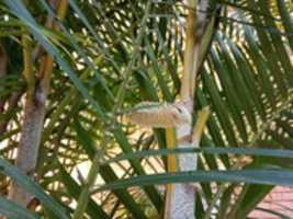 Free download oruga-2019-06-26-A free photo or picture to be edited with GIMP online image editor