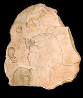 Free download Ostracon With a Royal Head free photo or picture to be edited with GIMP online image editor