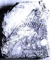 Free download Ostracon with the Image of a Falcon free photo or picture to be edited with GIMP online image editor