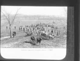 Free download OU 001 free photo or picture to be edited with GIMP online image editor