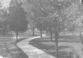 Free download OU 016 free photo or picture to be edited with GIMP online image editor