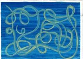 Free download our tangled threads free photo or picture to be edited with GIMP online image editor
