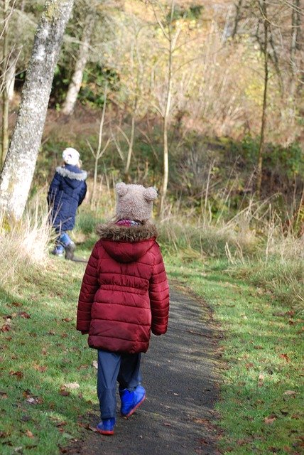 Descarga gratuita Outdoors Walking Nature - foto o imagen gratuita para editar con el editor de imágenes en línea GIMP