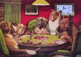 Free download outerdogs free photo or picture to be edited with GIMP online image editor