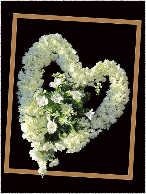 Free download Out Of Bond Flowers Frame -  free illustration to be edited with GIMP free online image editor