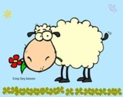 Free download Oveja 1 free photo or picture to be edited with GIMP online image editor