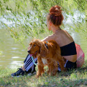 ovely golden dog next to girl  screen for extension Chrome web store in OffiDocs Chromium