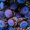 Overhead Shot Artichoke Flowers  screen for extension Chrome web store in OffiDocs Chromium