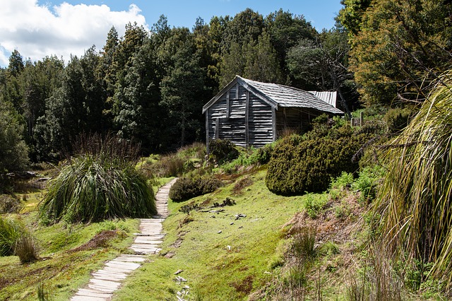 Free download overland track tasmania landscape free picture to be edited with GIMP free online image editor