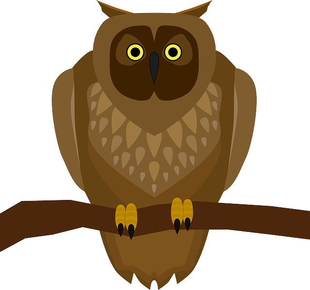 Free download Owl Animal - Free vector graphic on Pixabay free illustration to be edited with GIMP free online image editor