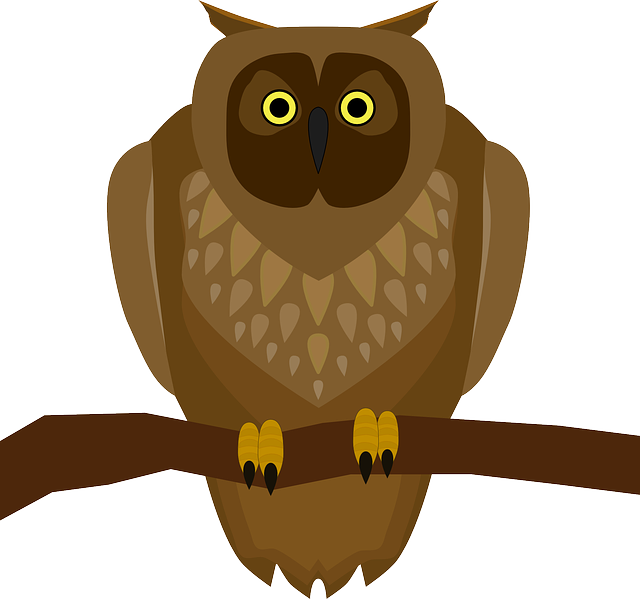 Free download Owl Animal - Free vector graphic on Pixabay free illustration to be edited with GIMP free online image editor