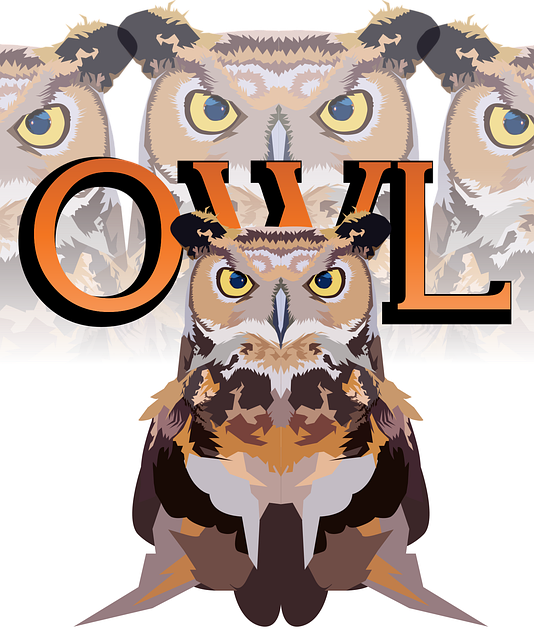 Free download Owl Bird Animal - Free vector graphic on Pixabay free illustration to be edited with GIMP free online image editor