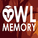 Owl Memory  screen for extension Chrome web store in OffiDocs Chromium