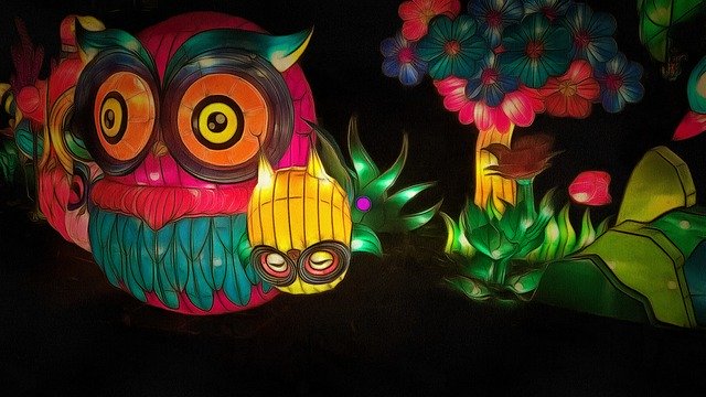 Free download Owl Tree Bird -  free illustration to be edited with GIMP free online image editor