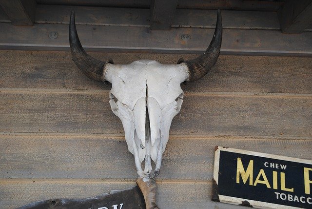 تنزيل Ox Skull Head مجانًا - صورة مجانية أو صورة لتحريرها باستخدام محرر الصور عبر الإنترنت GIMP