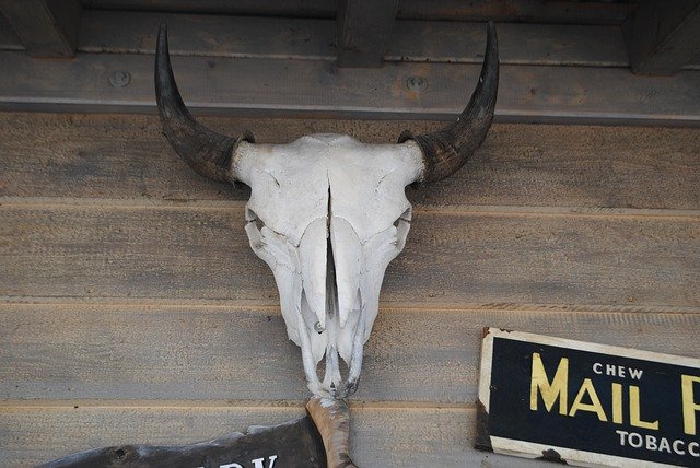 ດາວ​ໂຫຼດ​ຟຣີ Ox Skull Head - ຮູບ​ພາບ​ຟຣີ​ຫຼື​ຮູບ​ພາບ​ທີ່​ຈະ​ໄດ້​ຮັບ​ການ​ແກ້​ໄຂ​ກັບ GIMP ອອນ​ໄລ​ນ​໌​ບັນ​ນາ​ທິ​ການ​ຮູບ​ພາບ​