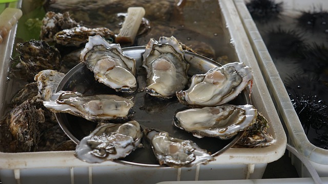 Free download oysters mollusc seafood food free picture to be edited with GIMP free online image editor