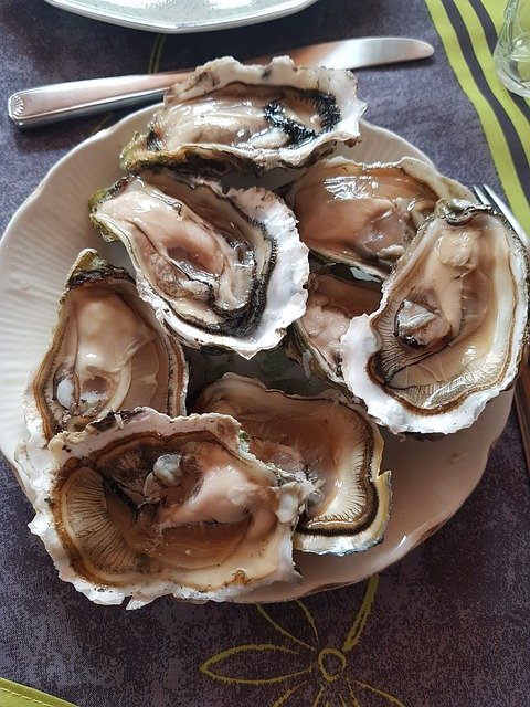 Free download Oysters Seafood Plate -  free photo or picture to be edited with GIMP online image editor