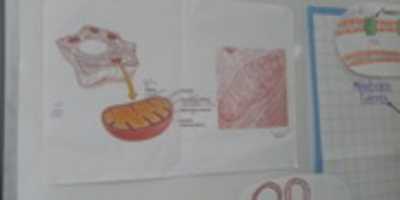 Free download P 00206 133322 free photo or picture to be edited with GIMP online image editor