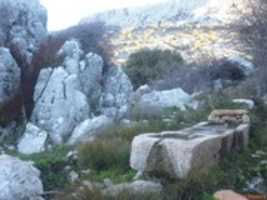 Free download P 1000169 free photo or picture to be edited with GIMP online image editor