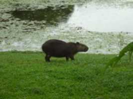 Free download P 1010441 free photo or picture to be edited with GIMP online image editor