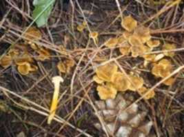 Free download P 1010580 free photo or picture to be edited with GIMP online image editor