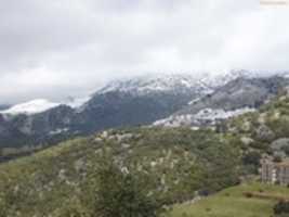 Free download P 1010792 free photo or picture to be edited with GIMP online image editor