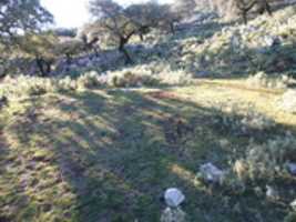 Free download P 1020158 free photo or picture to be edited with GIMP online image editor