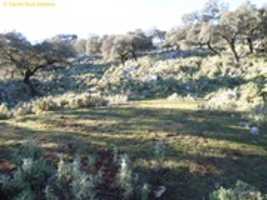 Free download P 1020159 free photo or picture to be edited with GIMP online image editor