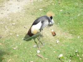 Free download P 1020186 free photo or picture to be edited with GIMP online image editor