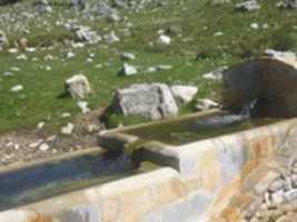 Free download P 1020429 free photo or picture to be edited with GIMP online image editor