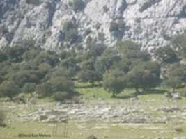 Free download P1020448 free photo or picture to be edited with GIMP online image editor