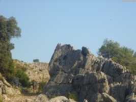 Free download P 1020822 free photo or picture to be edited with GIMP online image editor