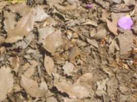 Free download P 1040406 free photo or picture to be edited with GIMP online image editor