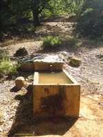 Free download P 1040482 free photo or picture to be edited with GIMP online image editor