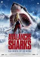 Free download p2 free photo or picture to be edited with GIMP online image editor