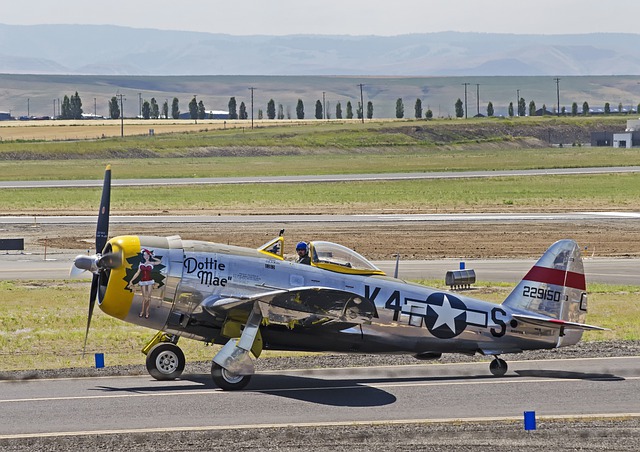 Free download p 47 ww2 warbird aircraft airplane free picture to be edited with GIMP free online image editor