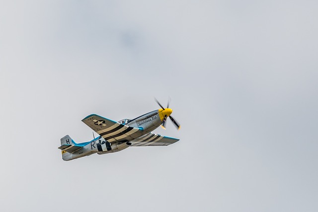Free download p 51d mustang warbird plane flying free picture to be edited with GIMP free online image editor