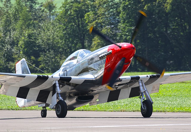 Free download p 51 mustang fighter plane warbird free picture to be edited with GIMP free online image editor