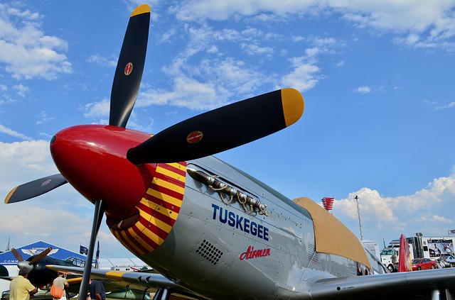 Free download p 51 mustang fighter tuskegee free picture to be edited with GIMP free online image editor